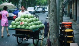 杭州路边免费吃瓜,免费吃瓜成新风尚，共享清凉好时光